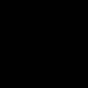 Meet your Posher, Juliette